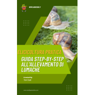Elicicoltura Pratica Guida Step-by-Step all'Allevamento di Lumache - Prodotto Digitale